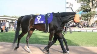 ヴィクトリアマイルはほぼ宝くじ。穴党記者推し４頭で高額当選キター