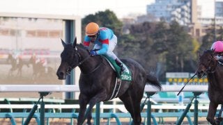 【ヴィクトリアマイル】枠順と見どころ プリモシーンは5枠9番