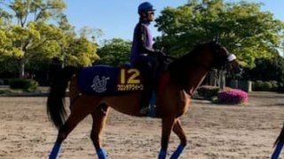 【ヴィクトリアマイル】フロンテアクイーン 三浦「すごい勝負根性を持っている馬」