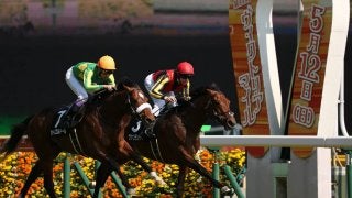 【夏木立賞】ヴァンランディがラストまで抜かせない勝負根性を発揮！