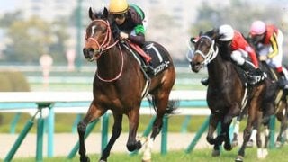 ３連続完勝のラヴズオンリーユー。魅惑の良血馬はクラシック級の評価