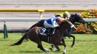 【テレ玉杯】ダイワメモリー差し切り！勝ちタイムは1分57秒8