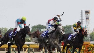 大混戦のヴィクトリアマイルを制したのはノームコア