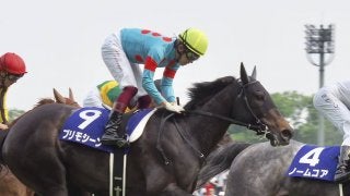 【ヴィクトリアマイル】プリモシーンは惜しくも2着！福永「本当に悔しい」