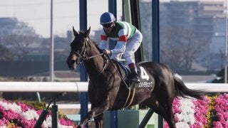 【オークス】登録馬と見どころ コントラチェックなど