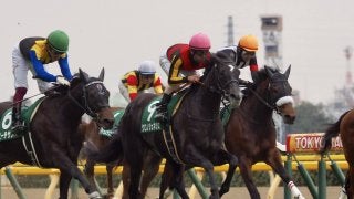 【オークス】出走馬の調教後の馬体重