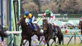 2019凱旋門賞（G1）にサートゥルナーリアが登録