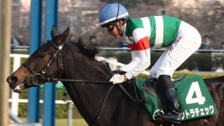 【オークス】枠順と見どころ  コントラチェックは2枠3番