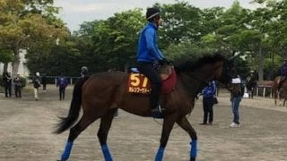 【オークス】カレンブーケドール 国枝師「距離伸びても問題ないと思う」