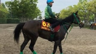 【オークス】シャドウディーヴァ 掲示板を外していない安定性