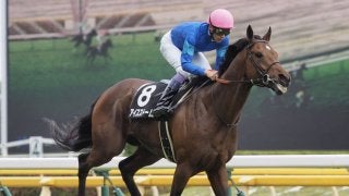 【調布特別】武豊 アイスストームが直線一気の差し切り！