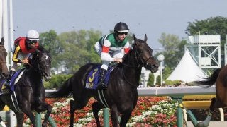 【オークス】レーン「ちょっと長い」コントラチェックは9着敗退