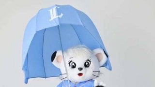 「ヘルメットアンブレラ」でインスタ映え？　西武が「ウーマンフェスタ」を開催