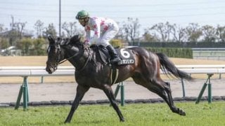 対抗馬は？　ダービーでサートゥルナーリアが負ける条件を探ってみた