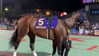 【大井記念】モジアナフレイバーが5ヶ月休養明けでV！