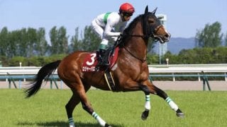 ダービーで激走するタイプは決まっている。過去データにハマる４頭