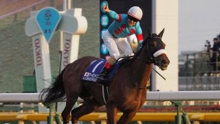 【PHOTO】宝塚記念ファン投票・中間発表一覧