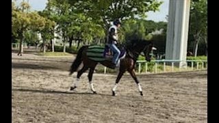 【目黒記念】ブラストワンピース 大竹師「凱旋門賞を考えてのもの」