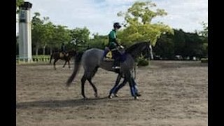 【日本ダービー】エメラルファイト 皐月回避の無念をダービーで晴らす