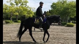 【日本ダービー】ダノンキングリー 戸崎「今年は勝ちたいですね」