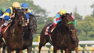 【目黒記念】ブラストワンピース伸び切れず8着…池添「同じ脚色に…」