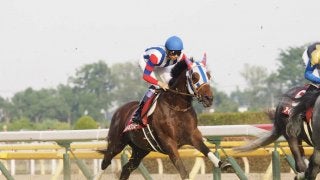 【目黒記念】武豊「突き抜けそうな感じはあったけど…」ムイトオブリガードは5着