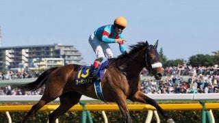 【安田記念】登録馬と見どころ アーモンドアイなど17頭