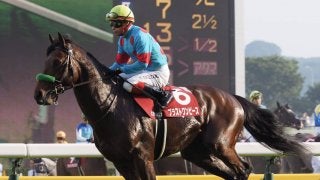 【目黒記念】大竹師「最後に止まったのは初めて」レース後 関係者コメント