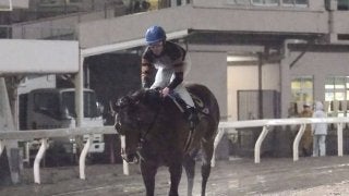 【さきたま杯】枠順と見どころ キタサンミカヅキは1枠1番