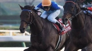 アドマイヤエイカン号が競走馬登録抹消