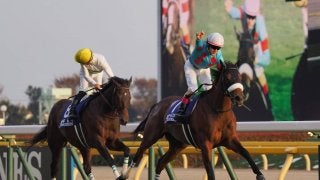 宝塚記念ファン投票 第2回中間発表 アーモンドアイ、レイデオロが僅差