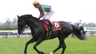 「２強」を悩ます高速馬場。安田記念の穴馬は前の２頭か後ろの２頭か