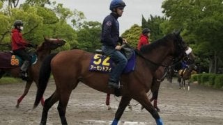 【安田記念】アーモンドアイ 現役最強！連勝記録伸ばせるか