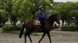 【安田記念】ステルヴィオ マイル戦なら連対100%