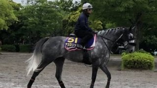 【安田記念】アエロリット 昨年は落鉄で2着