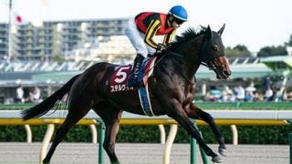 現役最強馬決定戦となる安田記念。馬券的な妙味は「第三の馬」に託せ