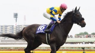 【安田記念】武豊「迷惑をかけてしまった」ロジクライはスタートで大きくヨレるアクシデント