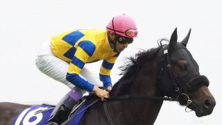 武豊騎手が騎乗停止 安田記念スタートで斜行