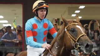 日曜東京５Ｒ新馬はサリオスがレイデオロの半弟・アブソルティスモを破る