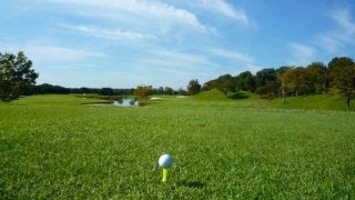 野球選手がリハビリ期間にゴルフをする事は悪い事なのか？日米反応様々