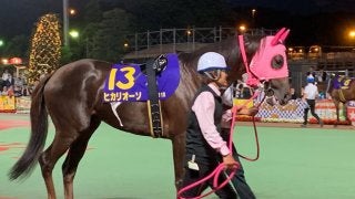 【東京ダービー】ヒカリオーソが東京ダービー制覇！　