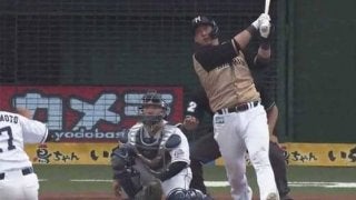 2年に1度の甲子園で“元スター”が凱旋！　交流戦で注目の聖地を沸かせた男たち