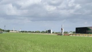 東京競馬場の馬場情報