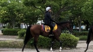 【マーメイドS】フローレスマジック  木村師「距離伸びても大丈夫」