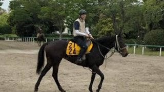 【マーメイドS】レーツェル 51キロで出番あり！