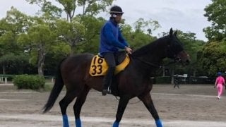 【エプソムC】プロディガルサン 3戦連続2着の安定感