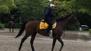 【エプソムC】ミッキースワロー 別定56キロなら力上位