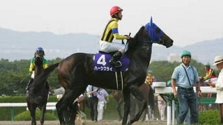 「脚もとに不安はない」シルヴェリオ。兄姉が果たせなかった夢に挑む