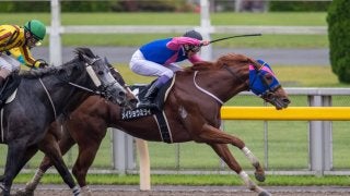 【小金井特別】武豊 メイショウミライがハナ差の接戦を制する