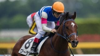 日曜東京５Ｒ新馬はルメール騎乗のワーケアが１番人気にこたえる